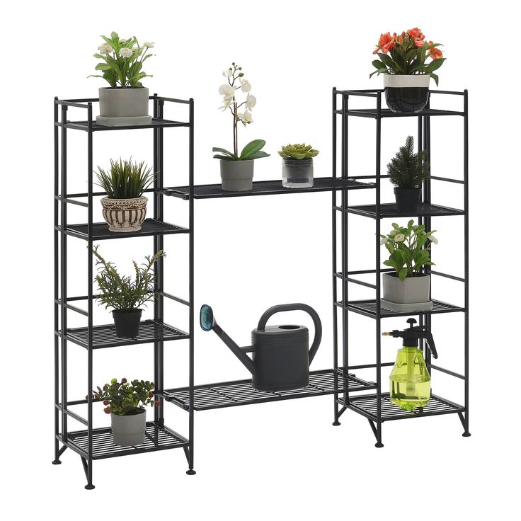 three shelves with plants and watering tools on them, one shelf holding potted plants