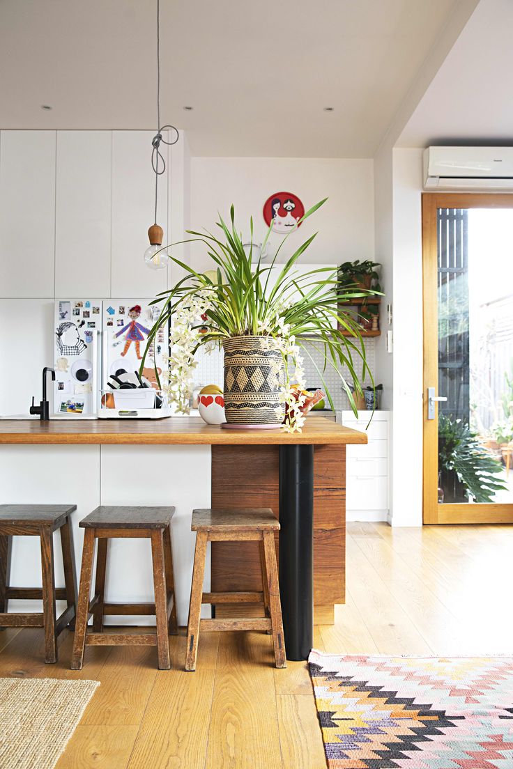 a potted plant sitting on top of a wooden counter next to stools in a kitchen