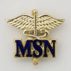 the msn logo is shown in gold and blue with an eagle on it's side