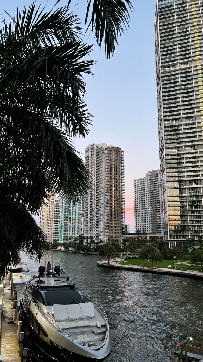 a boat is docked in the water next to some tall buildings and palm tree branches