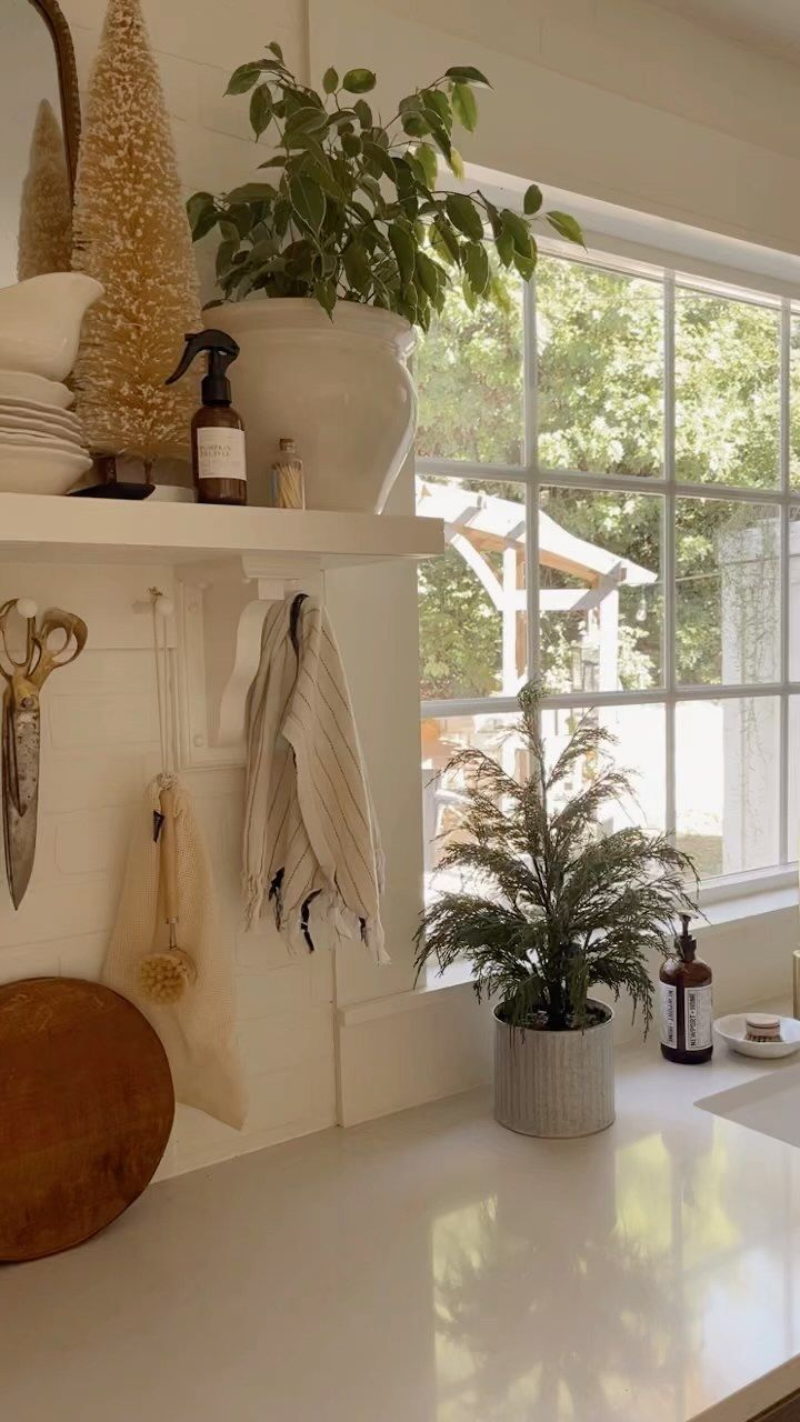 the kitchen counter is clean and ready to be used as a potted plant in the window sill