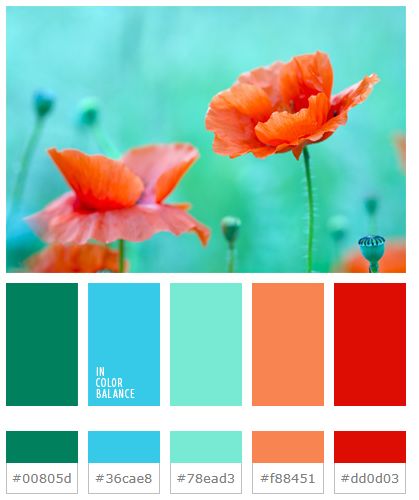 the color scheme is orange, green and blue with two flowers in front of it