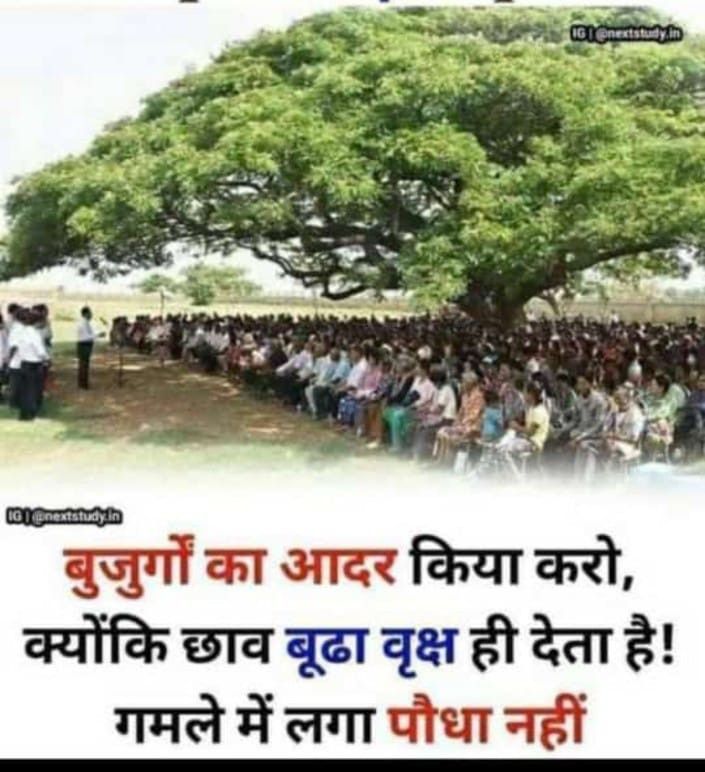 a large group of people standing under a tree in front of a field with the caption