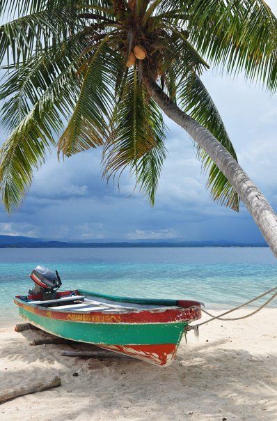 a boat tied to a palm tree on the beach