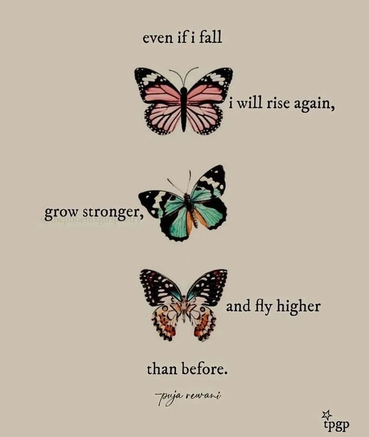 three butterflies with the words, even if fall, will rise again, and fly higher than