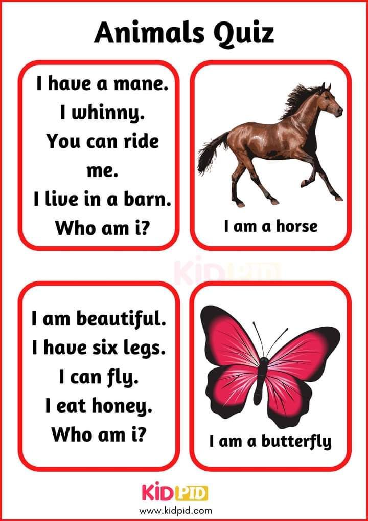 an animal quiz with pictures of horses and butterflies