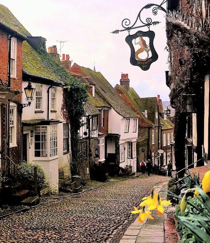 a cobblestone street with yellow flowers in the foreground and old buildings on either side