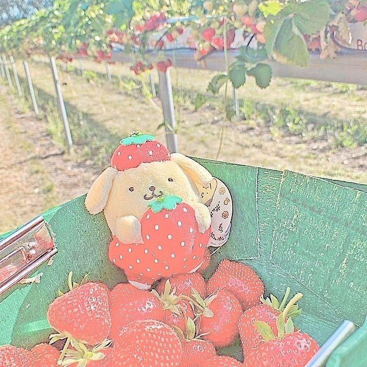 a teddy bear sitting on top of strawberries in a green container