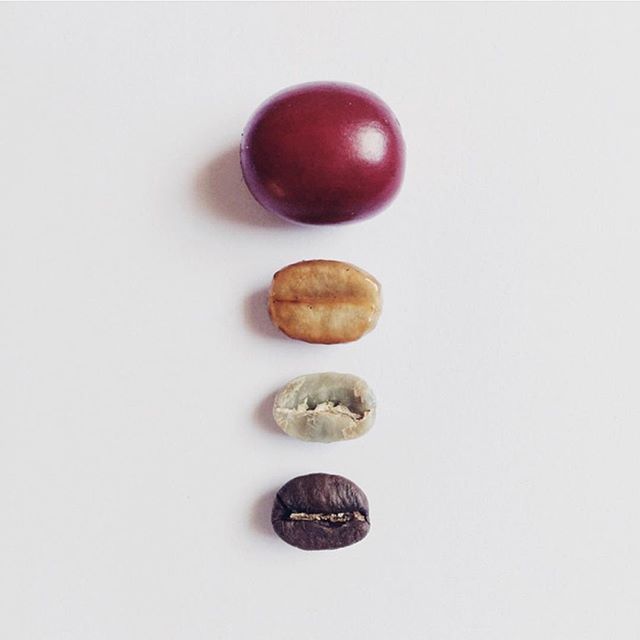 four different types of nuts arranged in a row