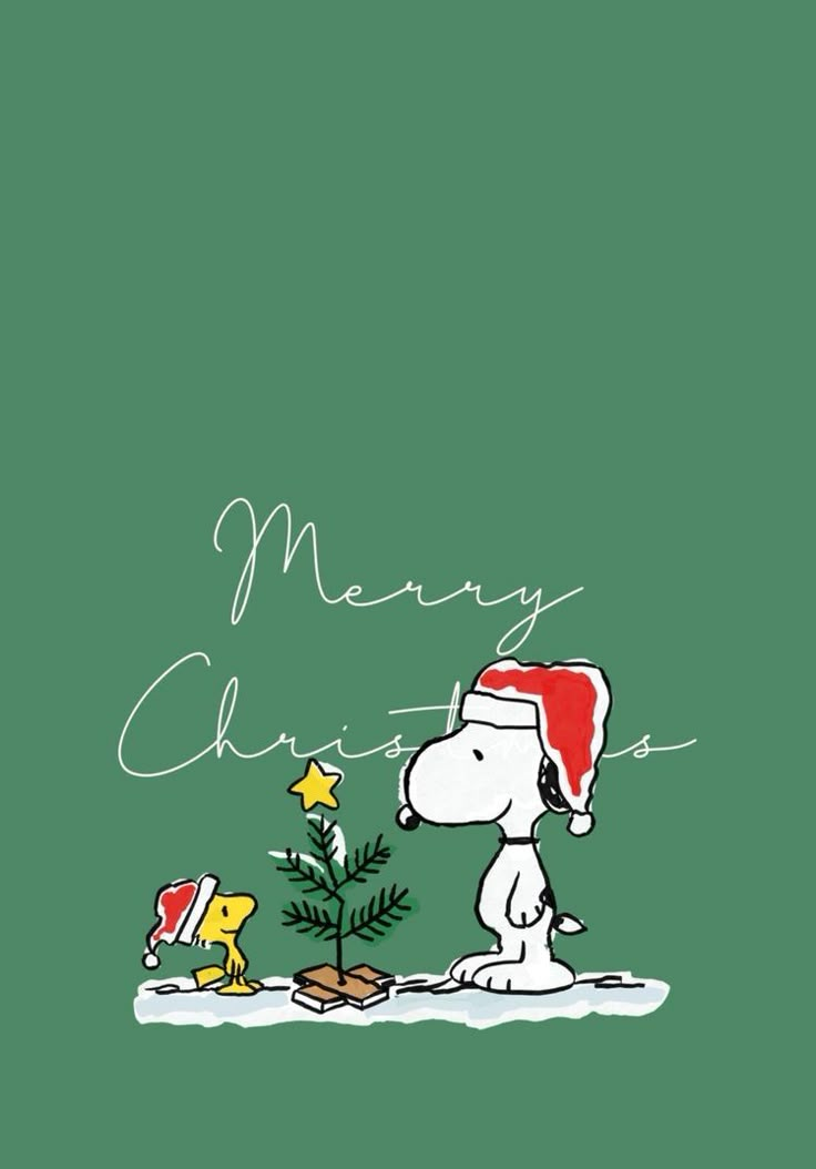 a charlie brown christmas card with the words merry christmas written in white on green background