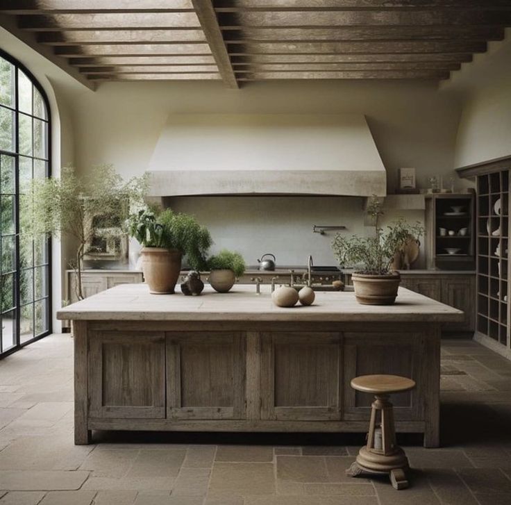 a large kitchen with lots of potted plants on the counter and an oven in the background