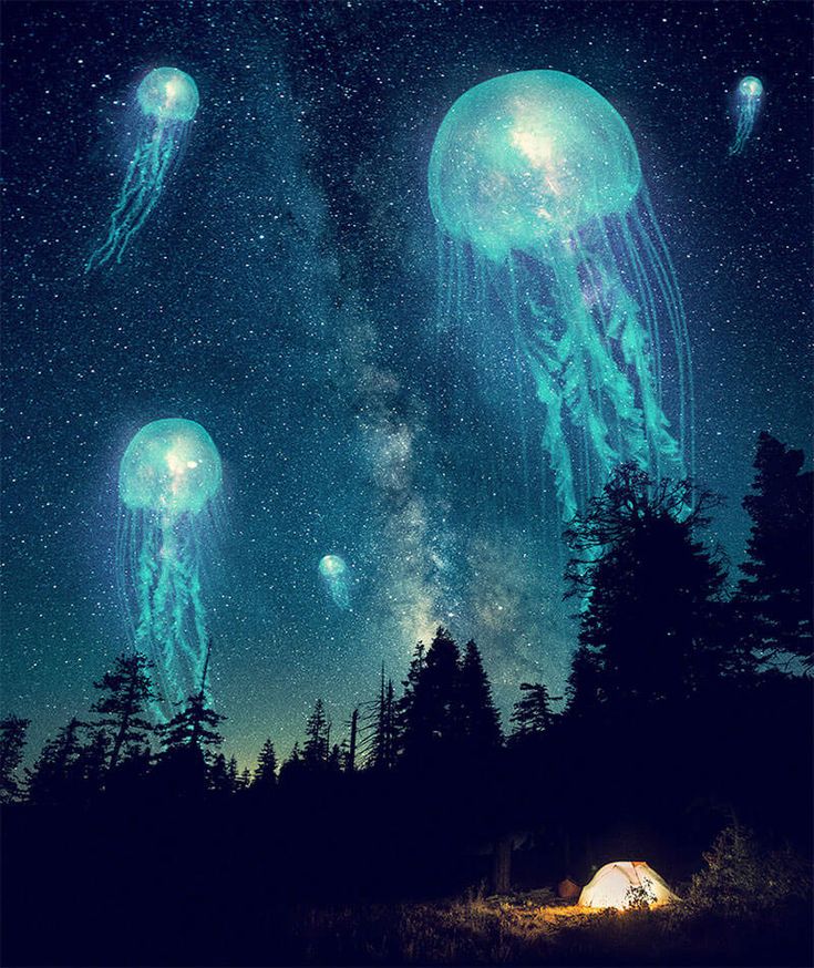 two jellyfishs floating in the air over trees and a tent under a night sky filled with stars