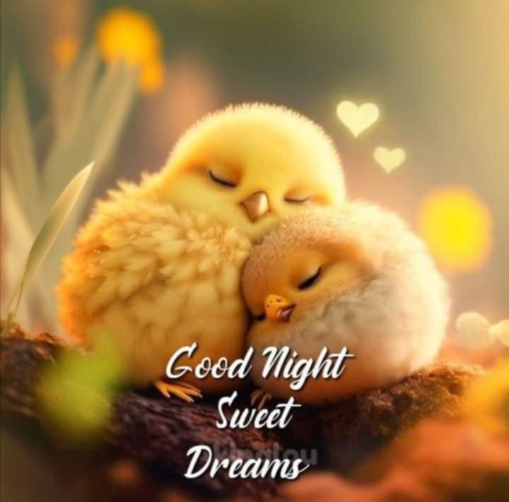 two little birds cuddle together in the middle of a nest with words good night sweet dreams