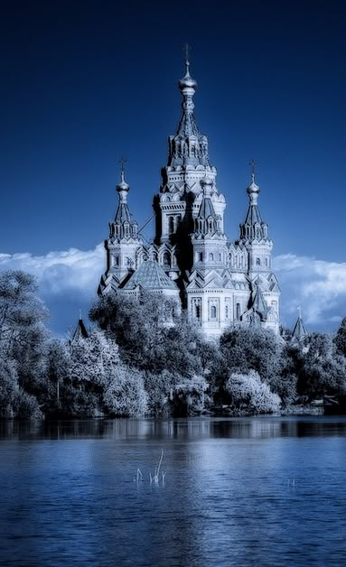 the castle is surrounded by trees and water