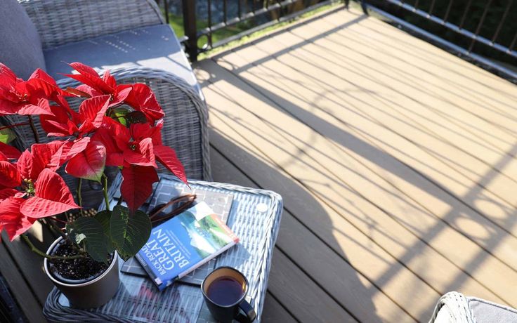 a potted plant sitting on top of a table next to a book and cup