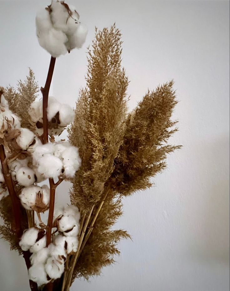 some cotton flowers are in a vase on the table with white walls behind them and brown stems sticking out of it