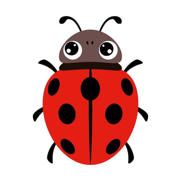 a red ladybug with black dots on it's back legs and eyes