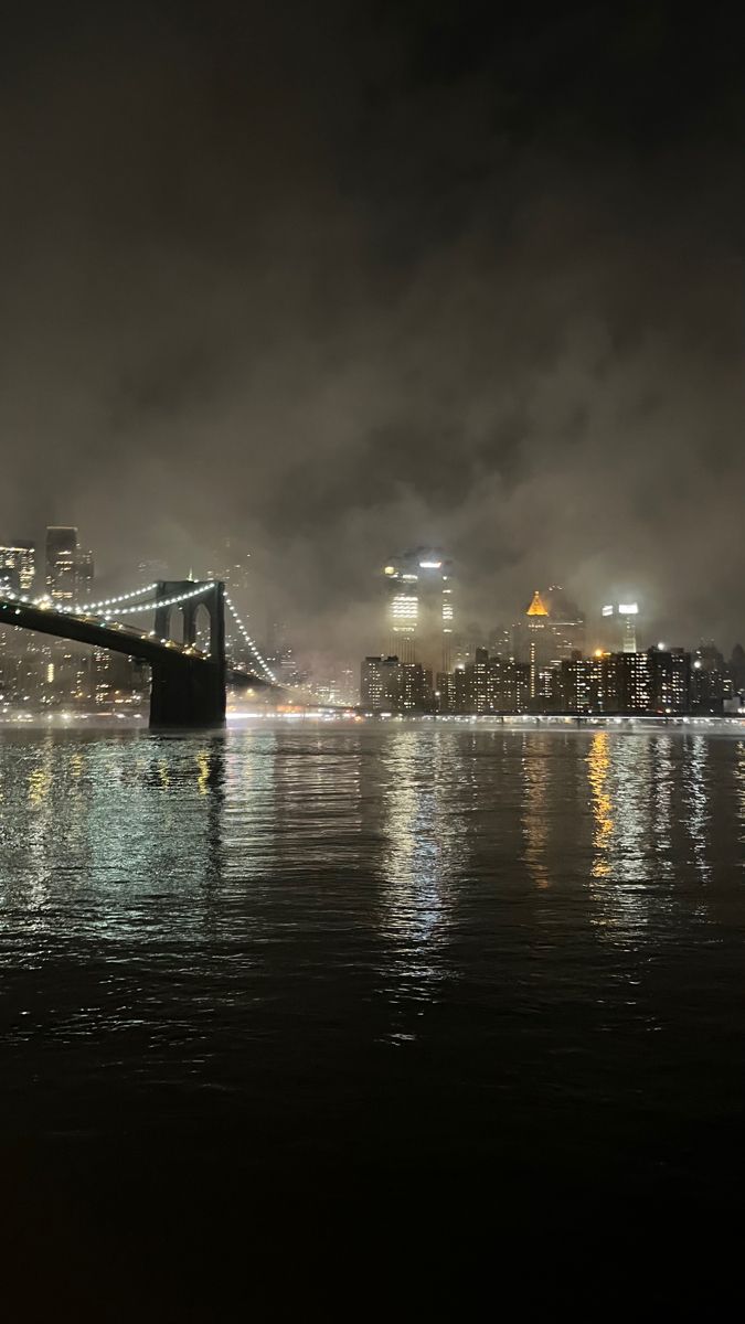 the city skyline is lit up at night with lights reflecting in the water and fog