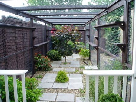 an enclosed patio with stone walkway and plants