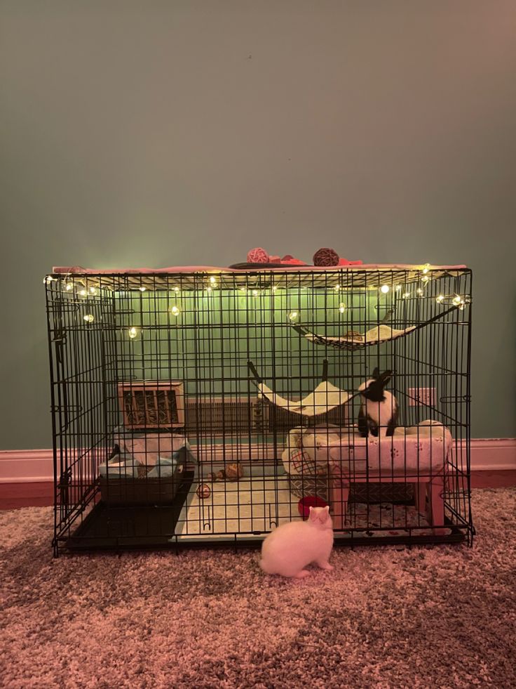 a cage with two cats in it and one cat laying on top of the other