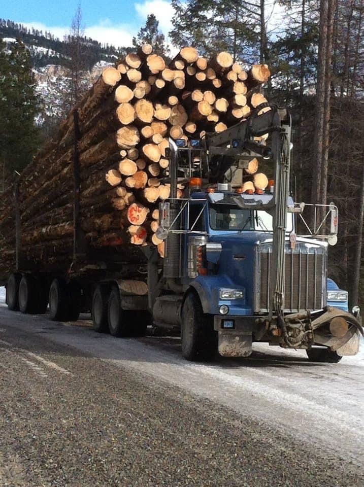 a semi truck hauling logs down a snowy road