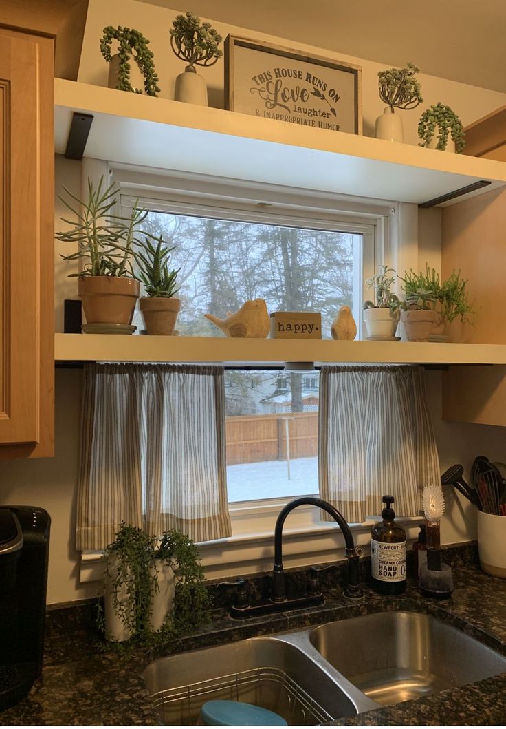 a kitchen window with potted plants on the ledge above it and a sink below