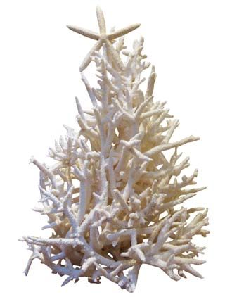 a white coral tree with starfish on it's top, against a white background