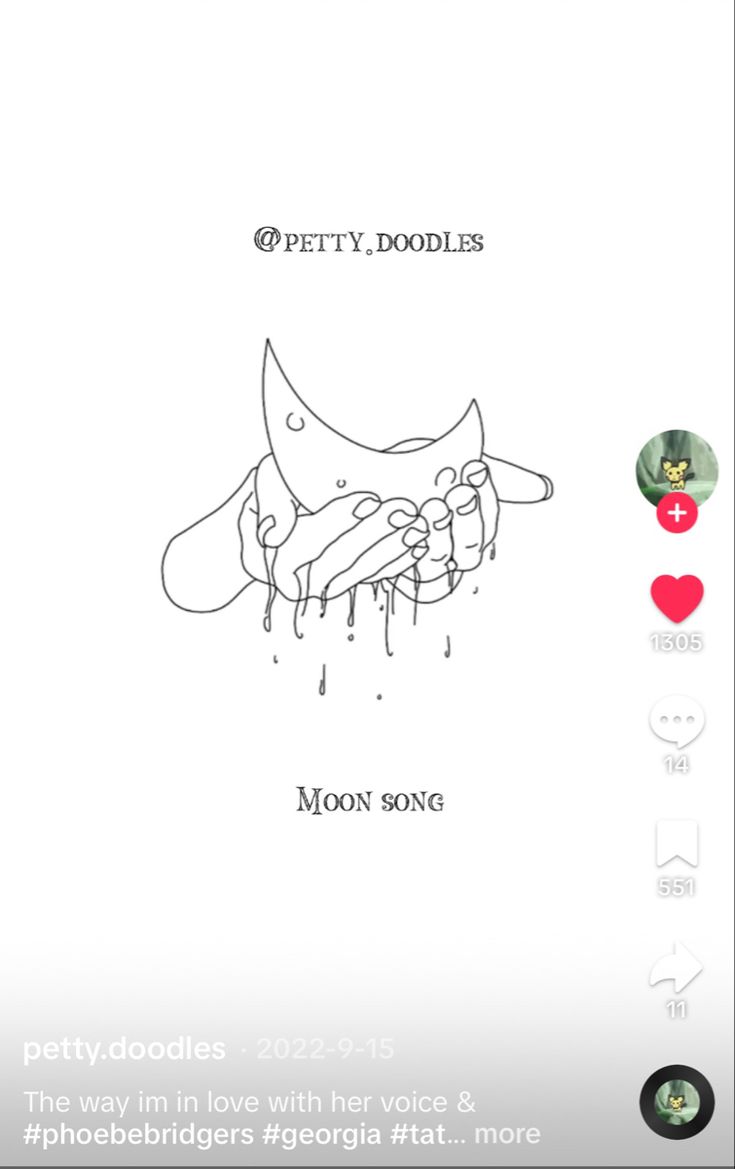 the cover art for petty doodles'moon song, which features an image of a