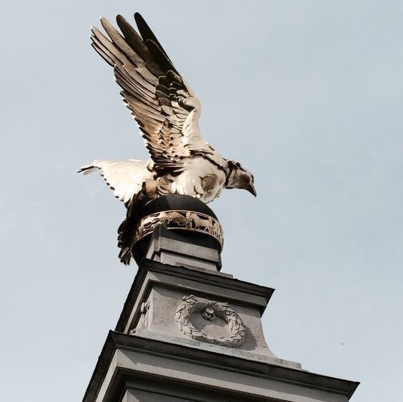 a bird is perched on top of a clock tower