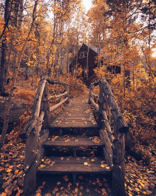 an old wooden bridge in the woods with leaves on the ground