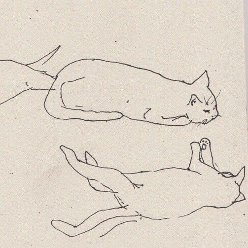 two drawings of cats laying on the ground next to each other with one cat lying down