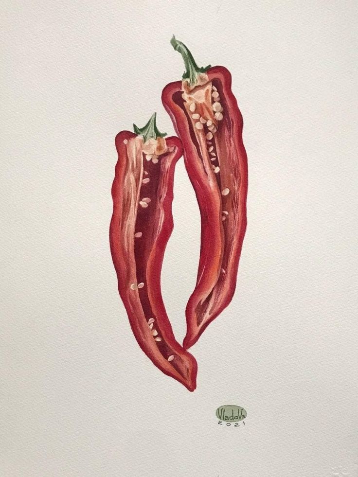 two red peppers are shown on a white paper with watercolor and pencils in it