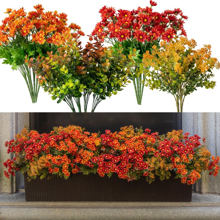 three different types of flowers are shown in the same box and on the same planter