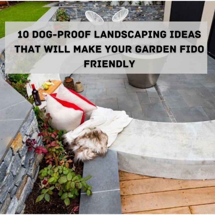 a dog laying on top of a cement bench next to a planter filled with flowers