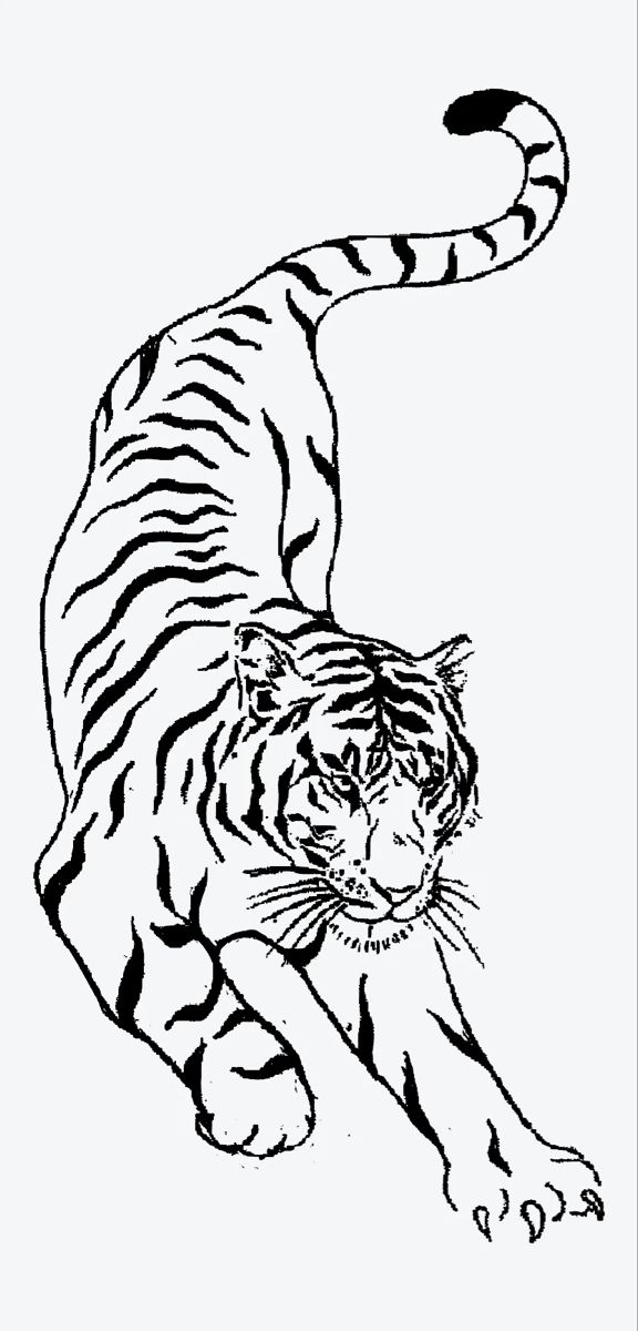 a black and white drawing of a tiger with its tail spread out to the side