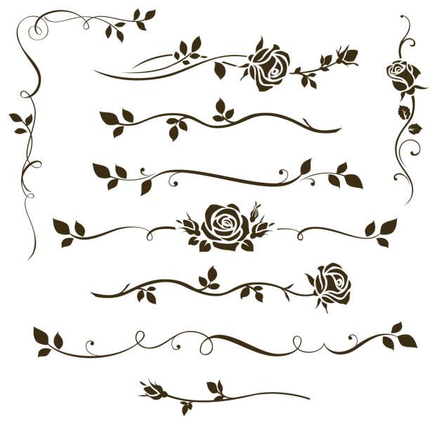 a set of decorative floral design elements with roses and leaves on white background for decoration