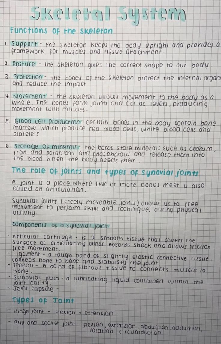 a piece of paper with writing on it that says structural system functions of the skeleton