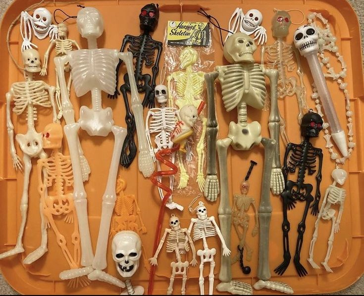 an orange tray filled with lots of fake skeletons