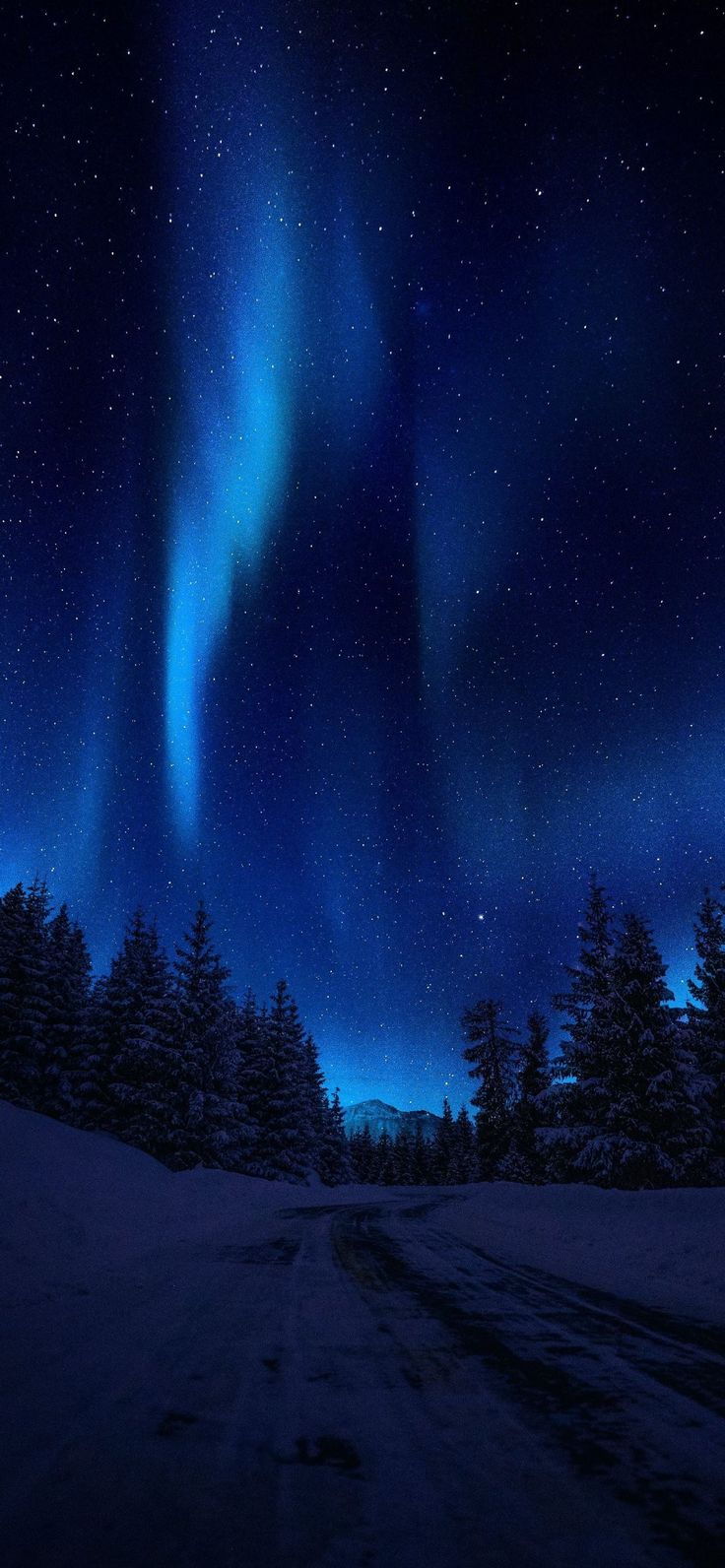 the aurora bore is shining brightly in the night sky over snow covered trees and evergreens