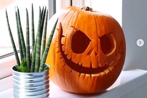 a pumpkin sitting on top of a window sill next to a cactus