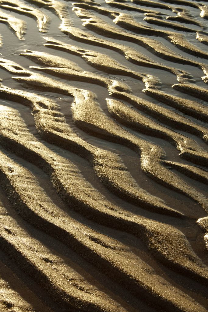 the sand is very wavy and has little ripples in it's surface,