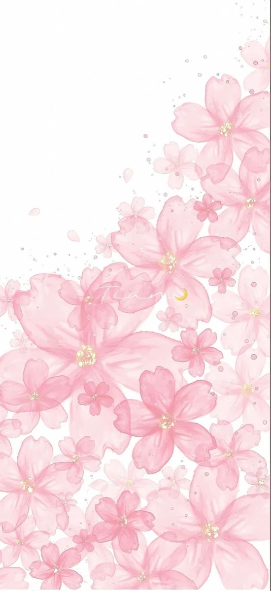 pink flowers on white background with space for text