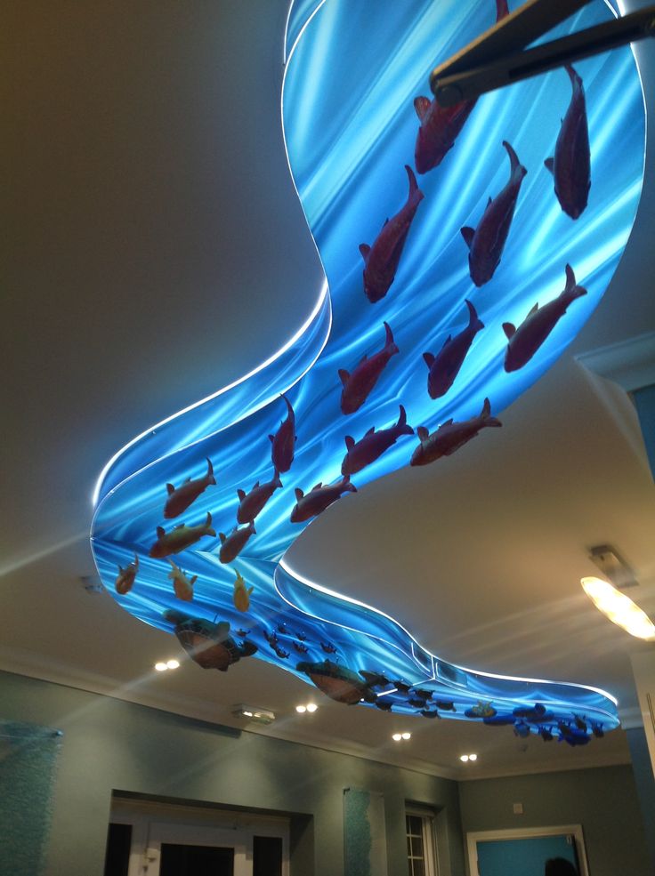 a room with many fish swimming in the water and on the ceiling, there is a curved light fixture