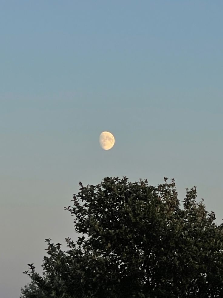 the moon above a tree during dusk Full Moon Instagram Story, Full Moon Snapchat Story, Waxing Gibbous Moon Aesthetic, Cresent Moon Snap, Moon Waxing Gibbous, Daytime Moon Aesthetic, Aesthetic Moon Pics Real, Waxing Gibbous Moon, Gibbous Moon