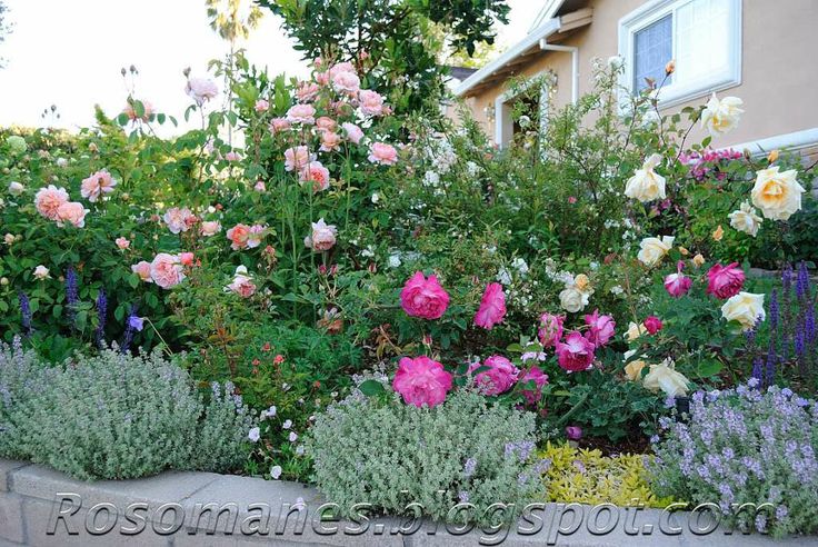 a garden filled with lots of flowers next to a house