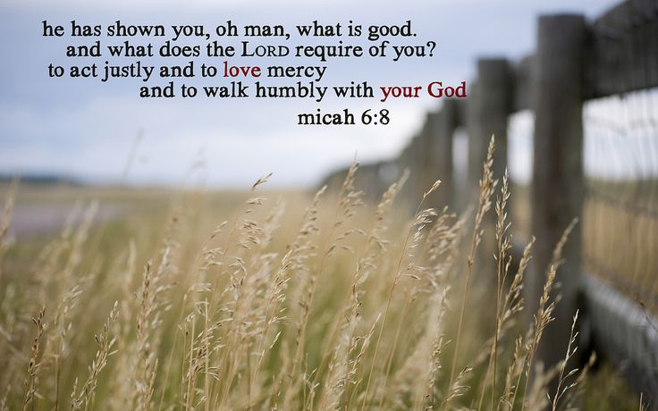 tall grass in front of a wooden fence with the words, he has shown you, oh man, what is god and what does the lord require of you? to act