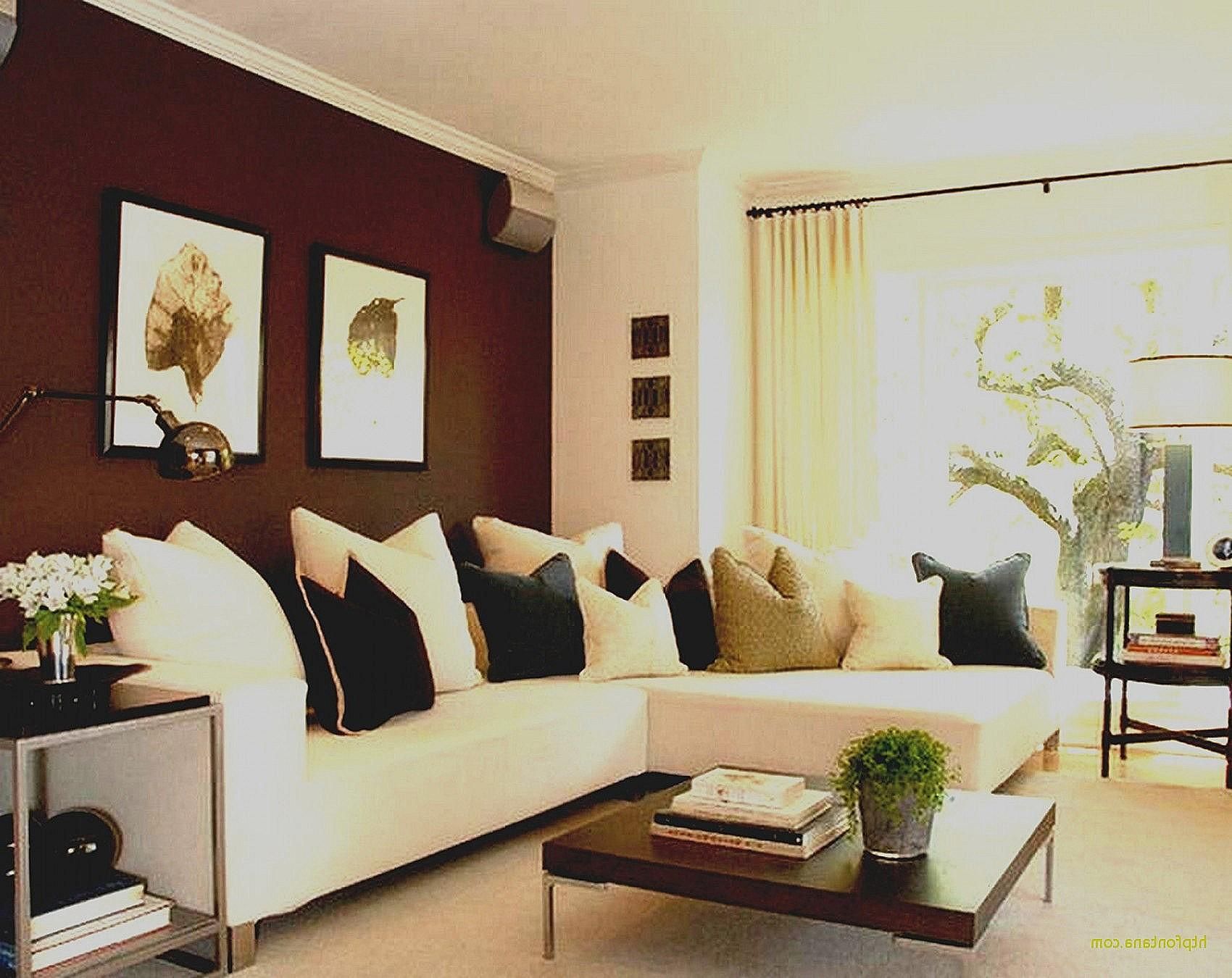 Beautiful Living Room Paint Ideas with Brown Furniture 