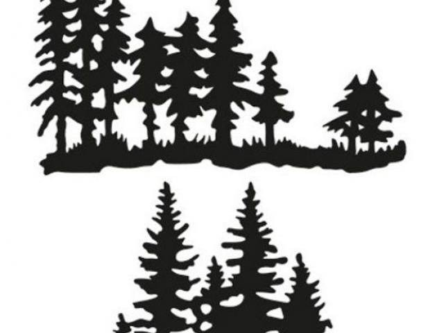 Download Drawn Pine Tree svg 5 - 541 X 618 | Pine tree silhouette, Tree silhouette, Tree stencil