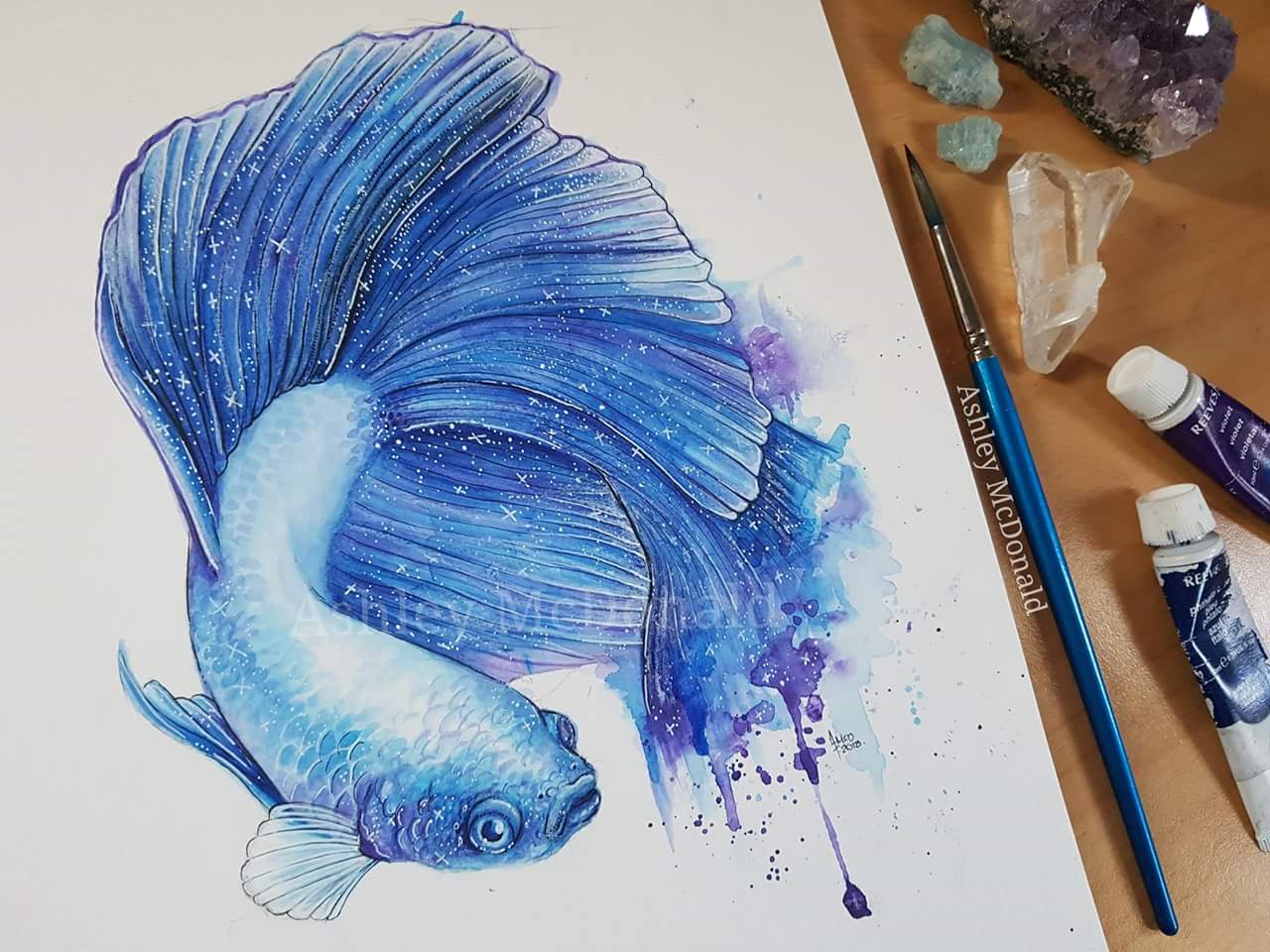 Galaxy Betta Fish (Age 18) : Watercolor