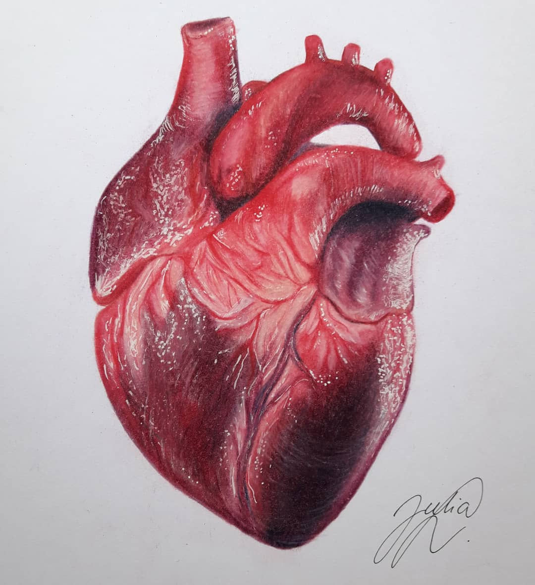 Human Heart Drawings With Color